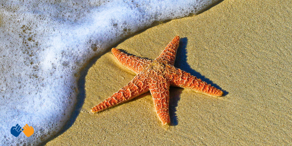 A starfish in the sand with an ocean wave nearby.